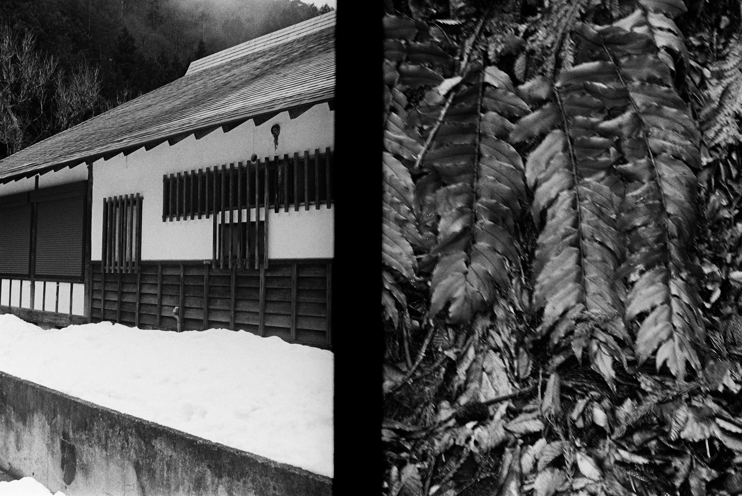 nagano-000024 copy.JPG