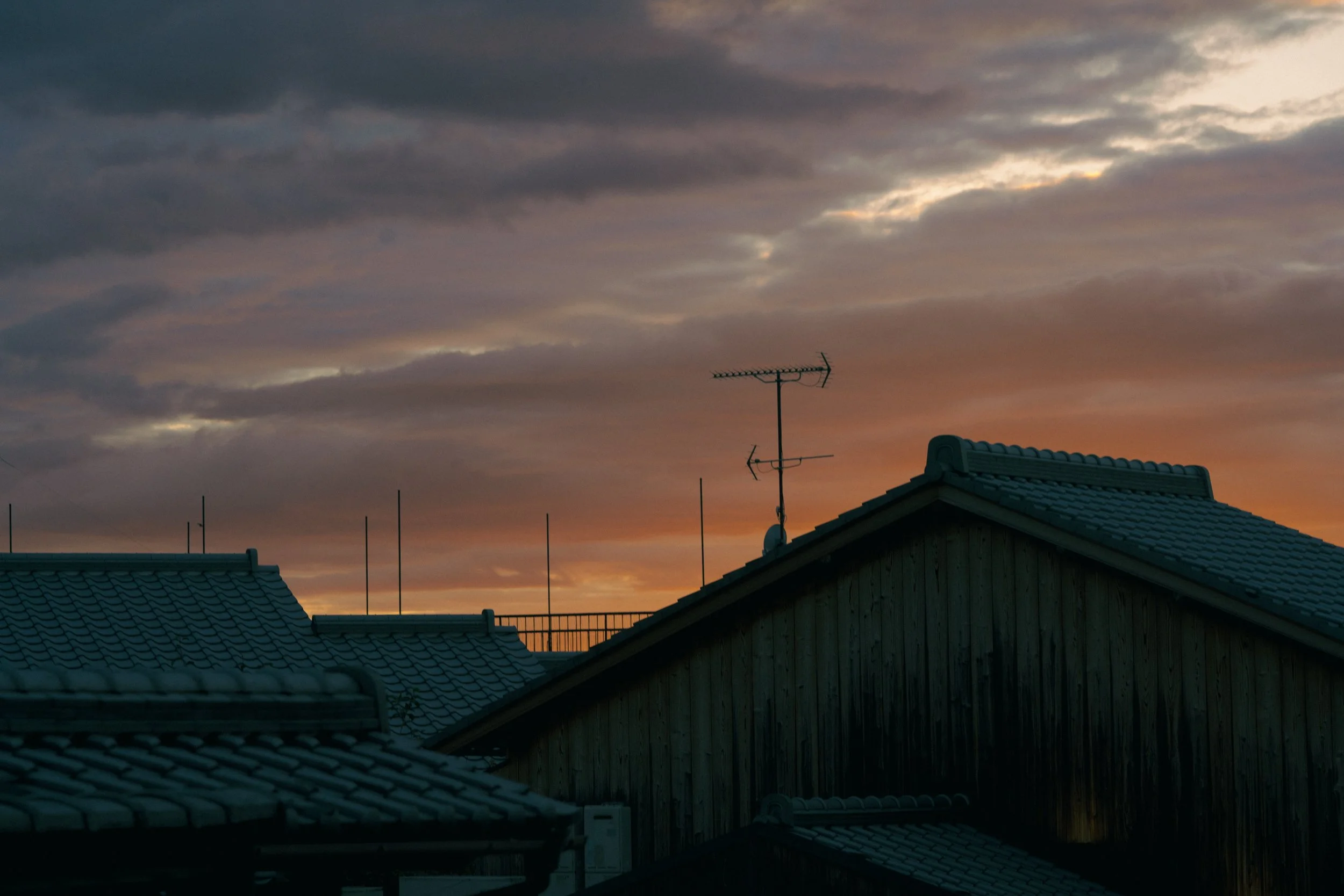 DSC00797.JPG