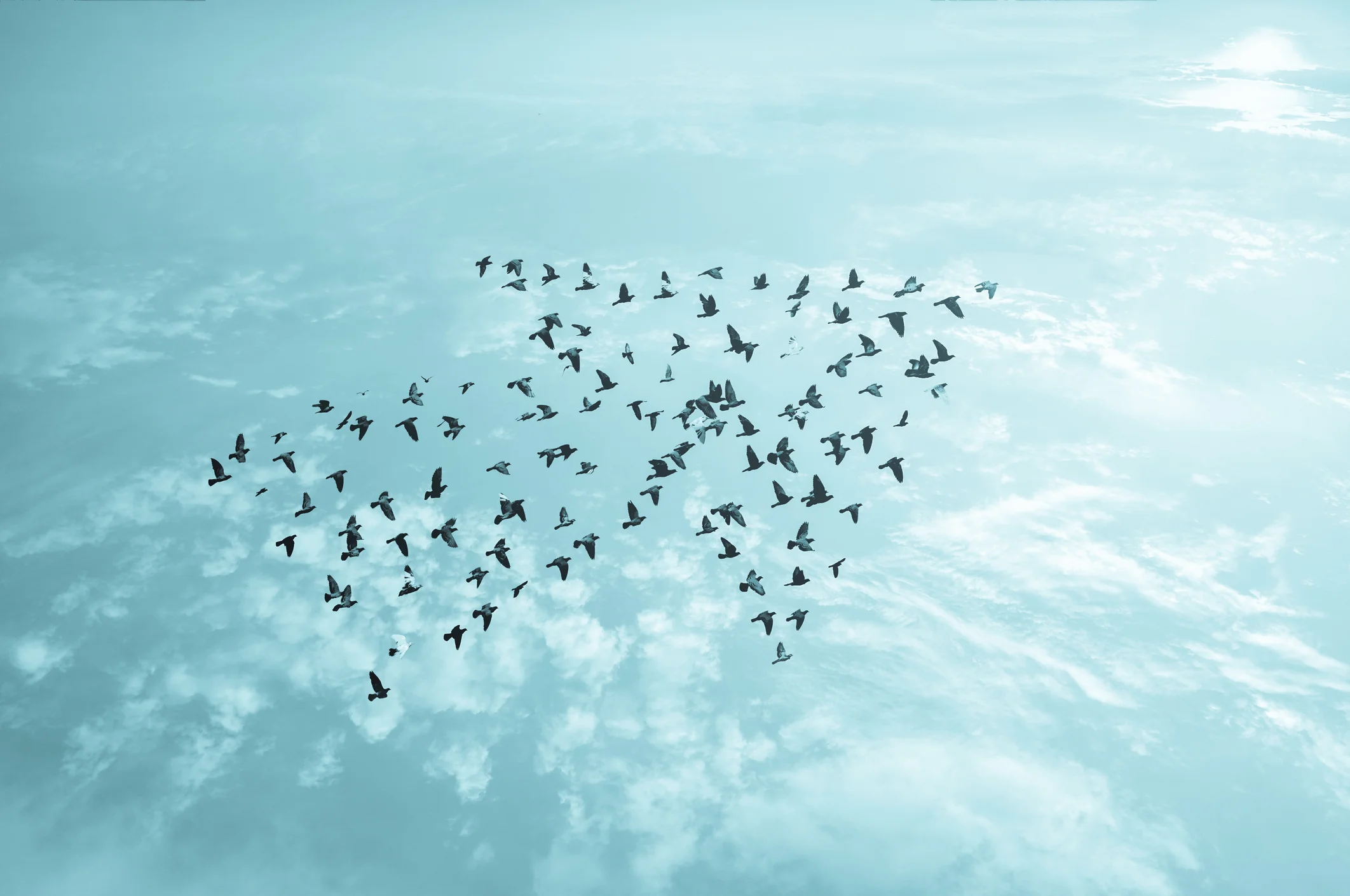 Photo by LoveTheWind/iStock / Getty Images
