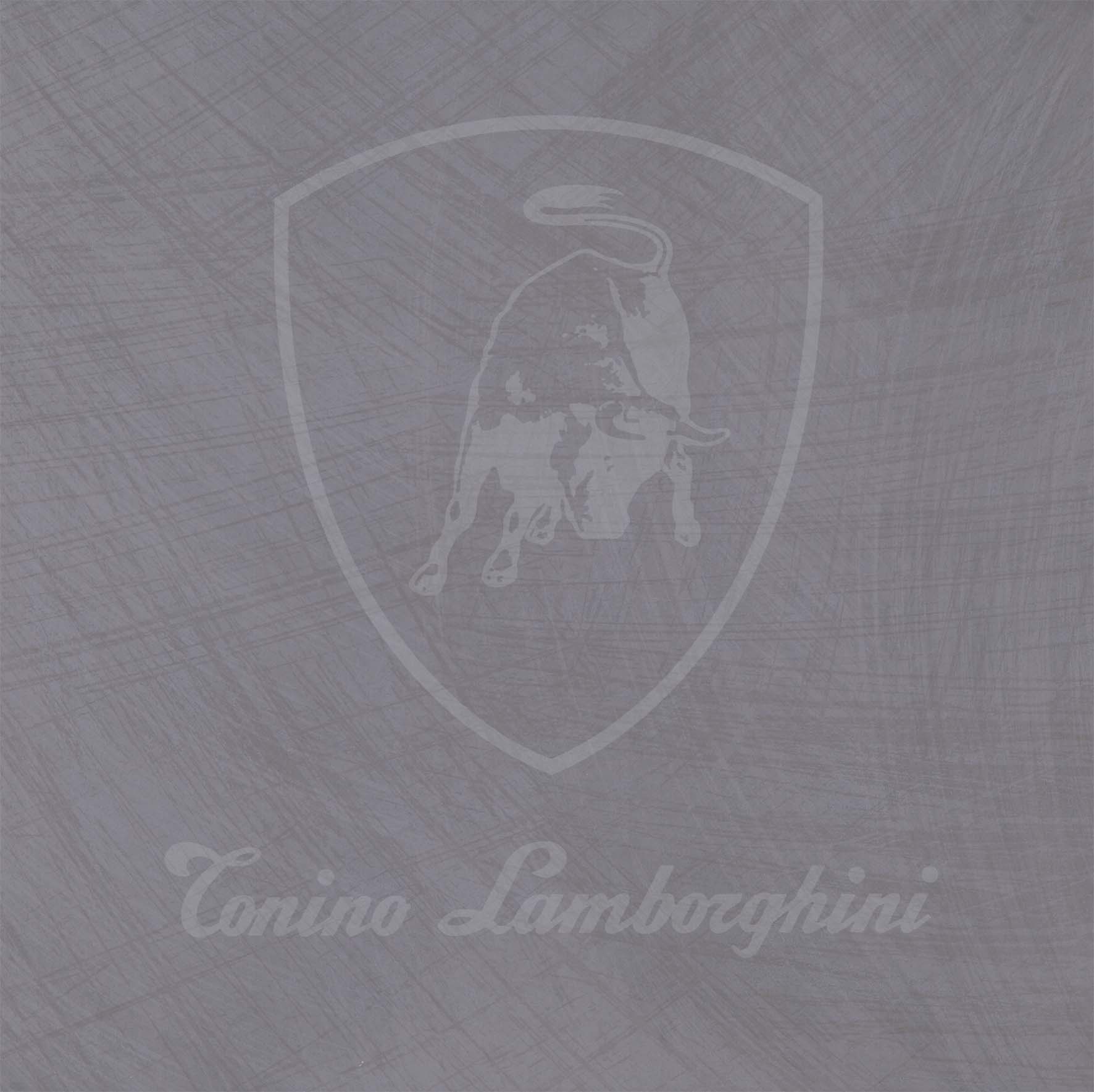 TL60ID3D INDY GRIGIO DEC LOGO 60X60 .jpg