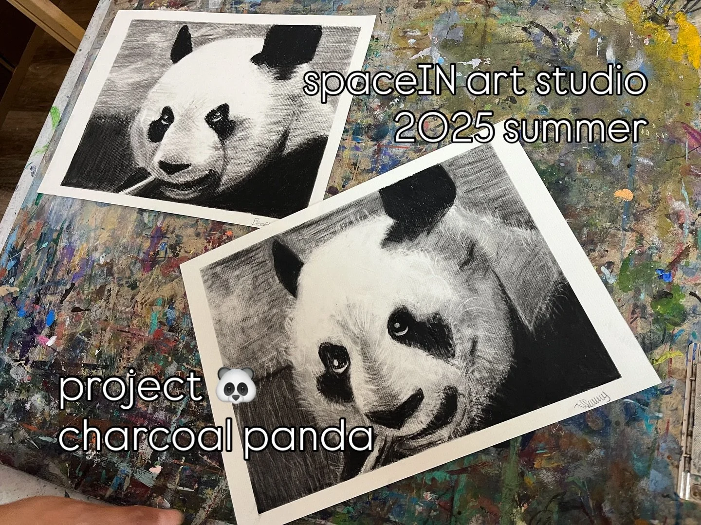 Which panda is your favorite? 🐼🤍🖤

Explore around our young artists&rsquo; stunning charcoal drawn pandas here! Amazing work everyone!

#charcoaldrawing #panda #drawing #studentartwork #youngartist
