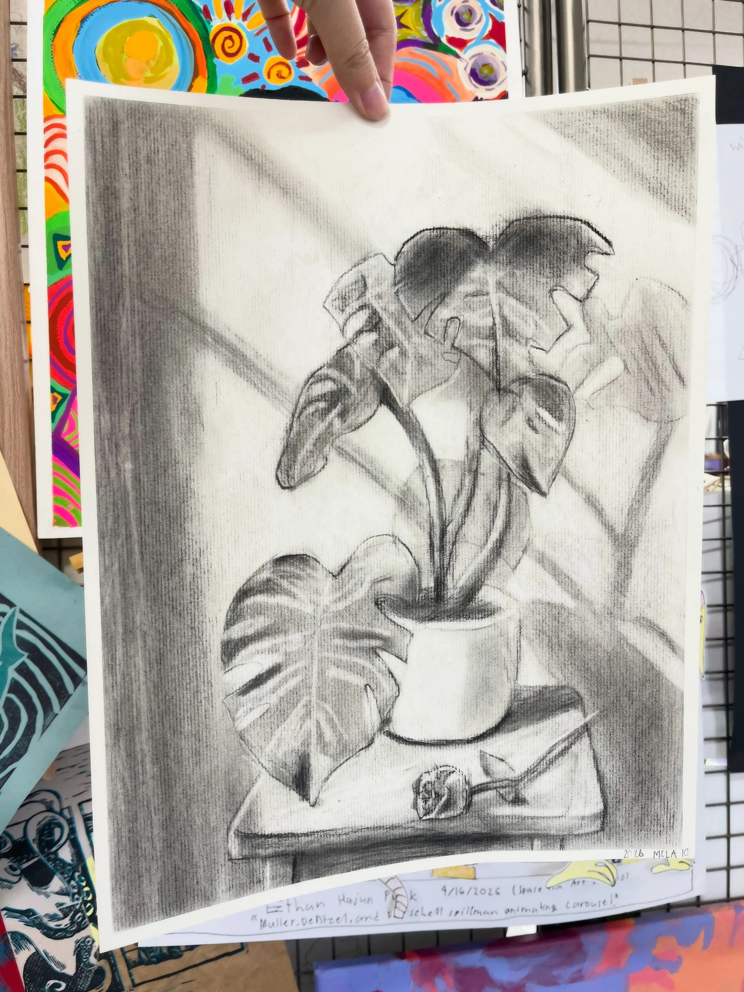 Thank you for the great second week! 🪴💚 part 2

#charcoaldrawing #monstera #oilpastel