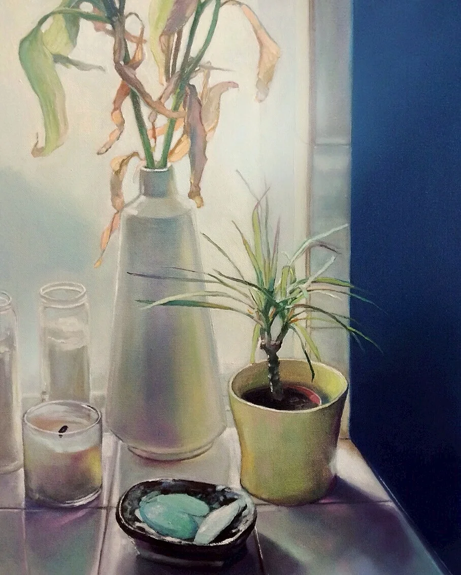 Bathroom Plants
