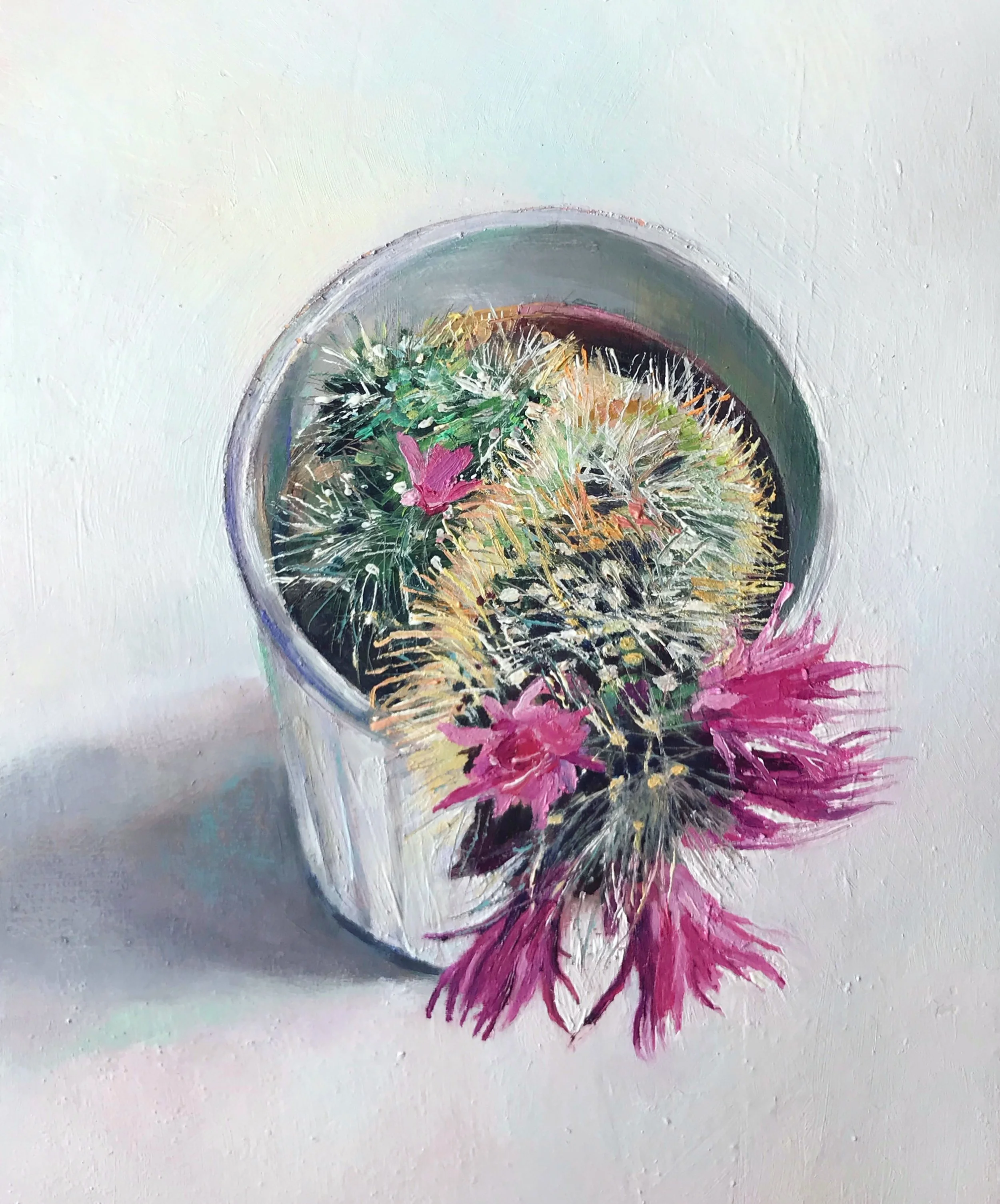 Flowering Cactus 