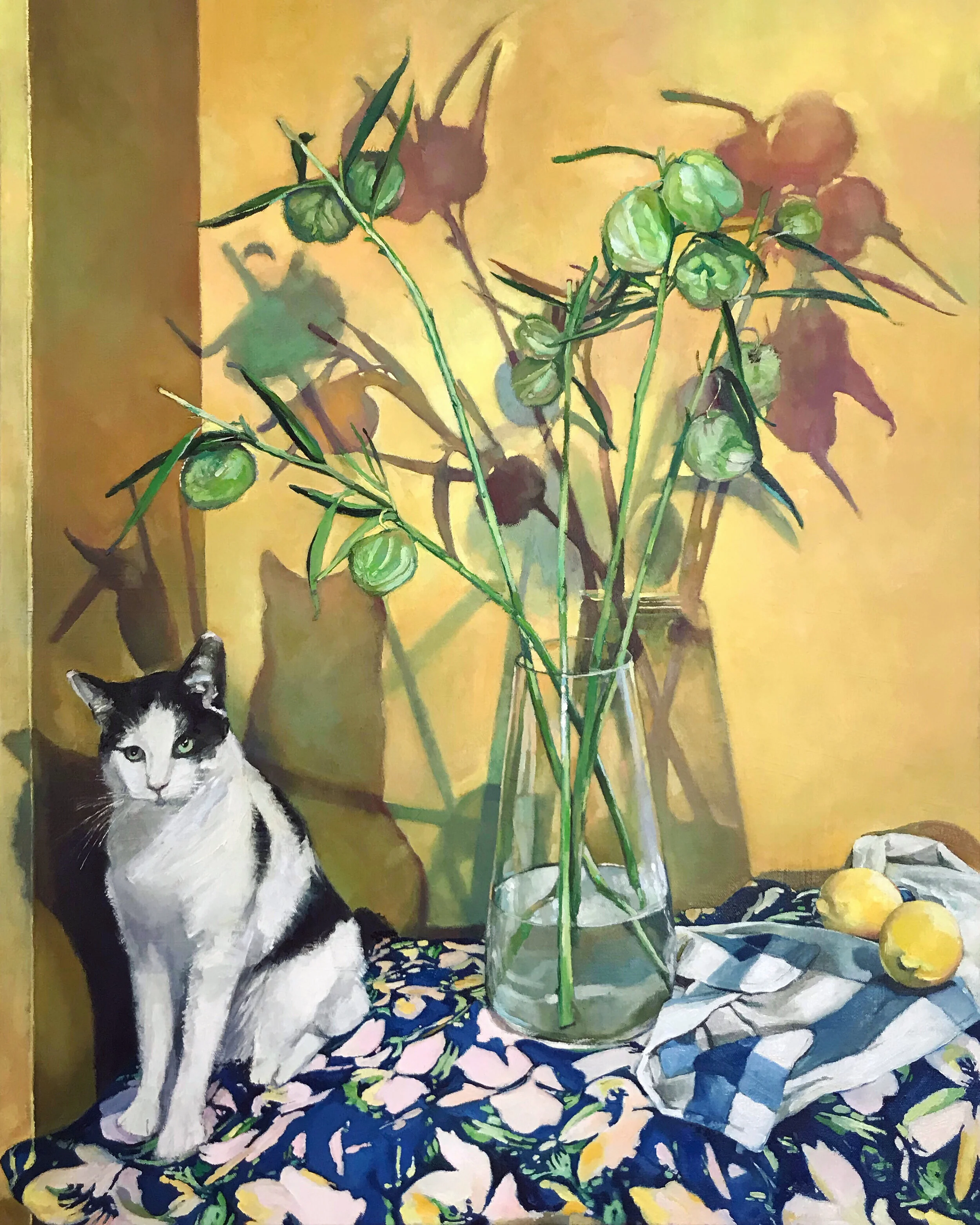 Cat under Milkweed