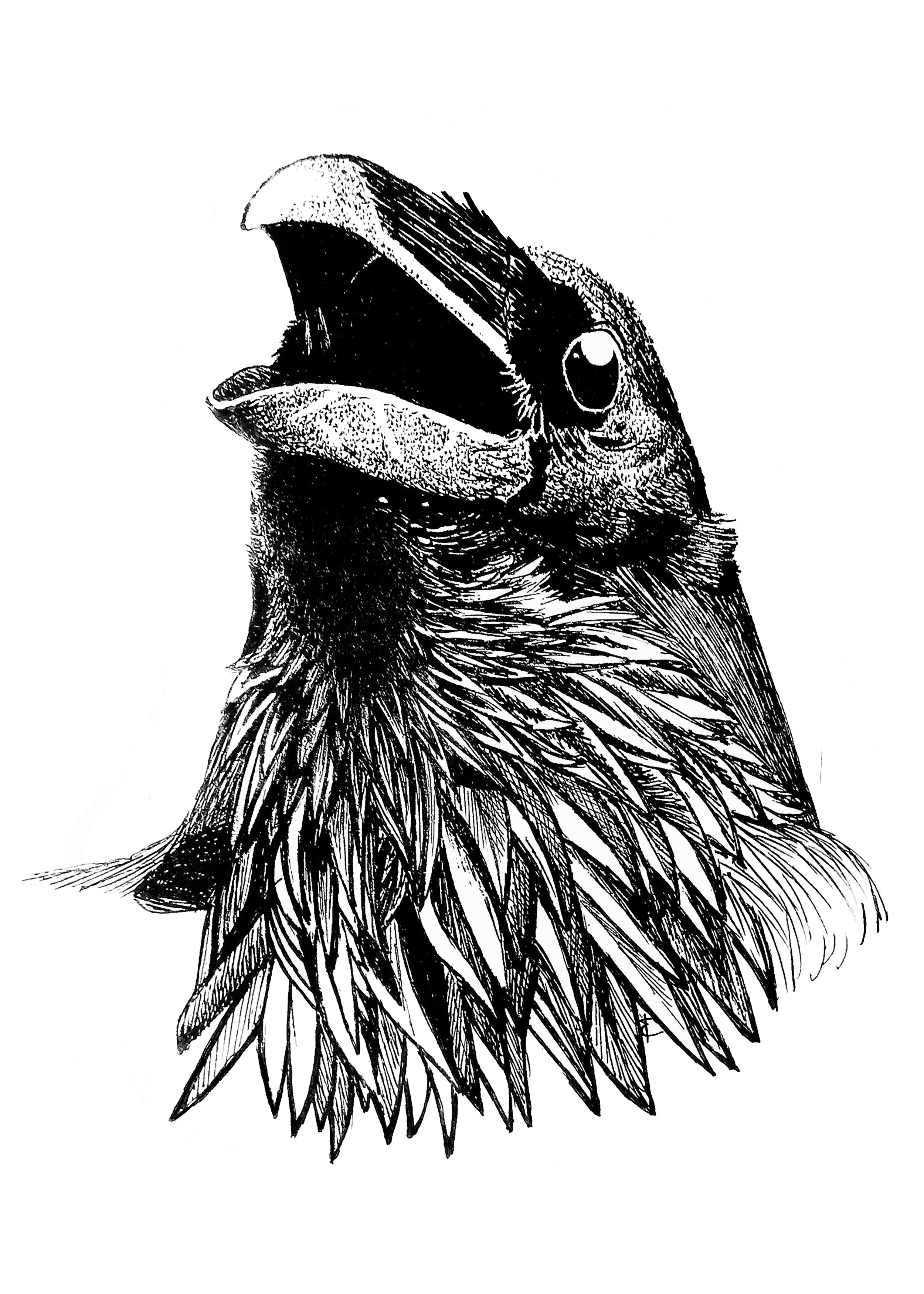 IMG_0885.PNG