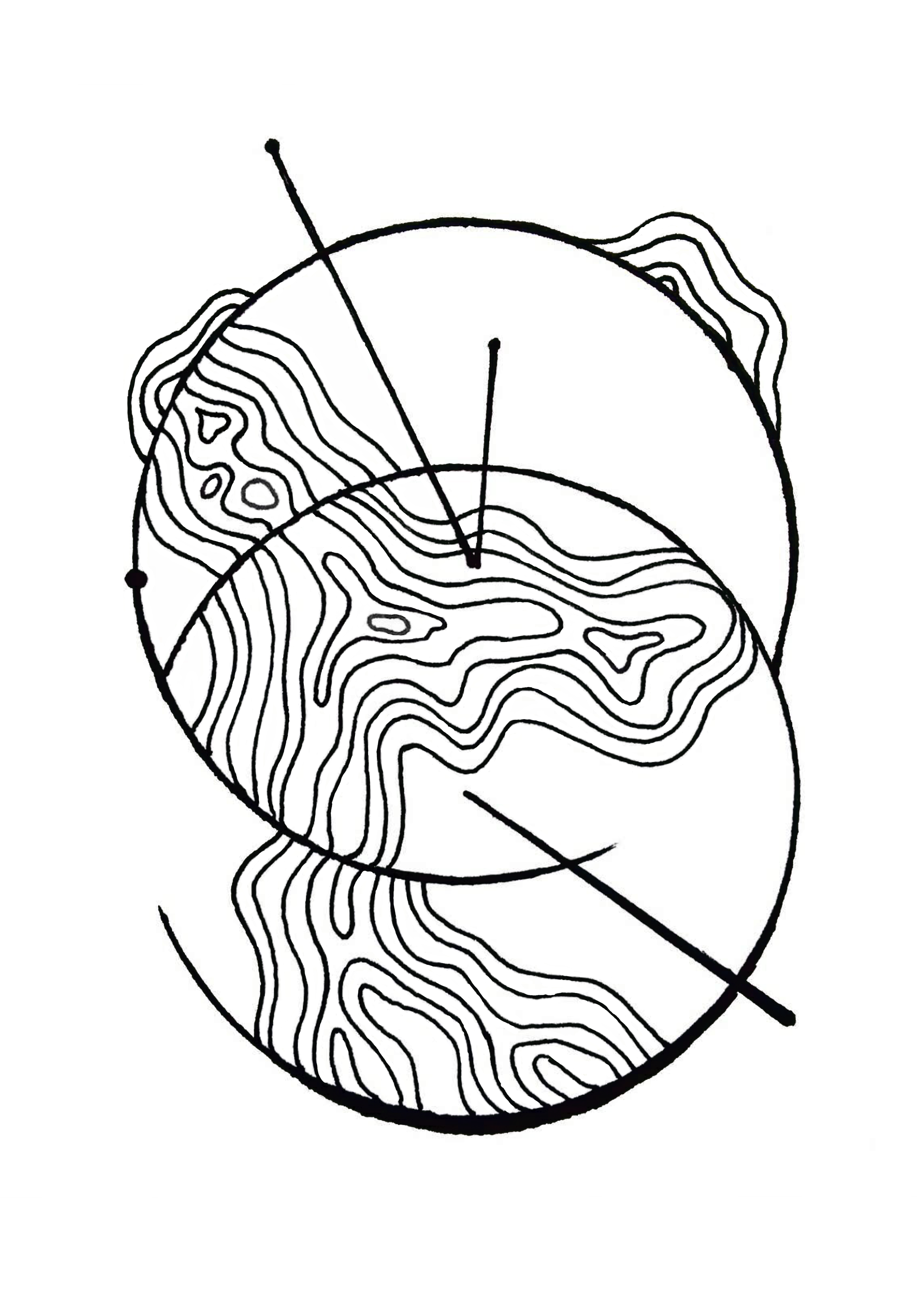 IMG_0884.PNG