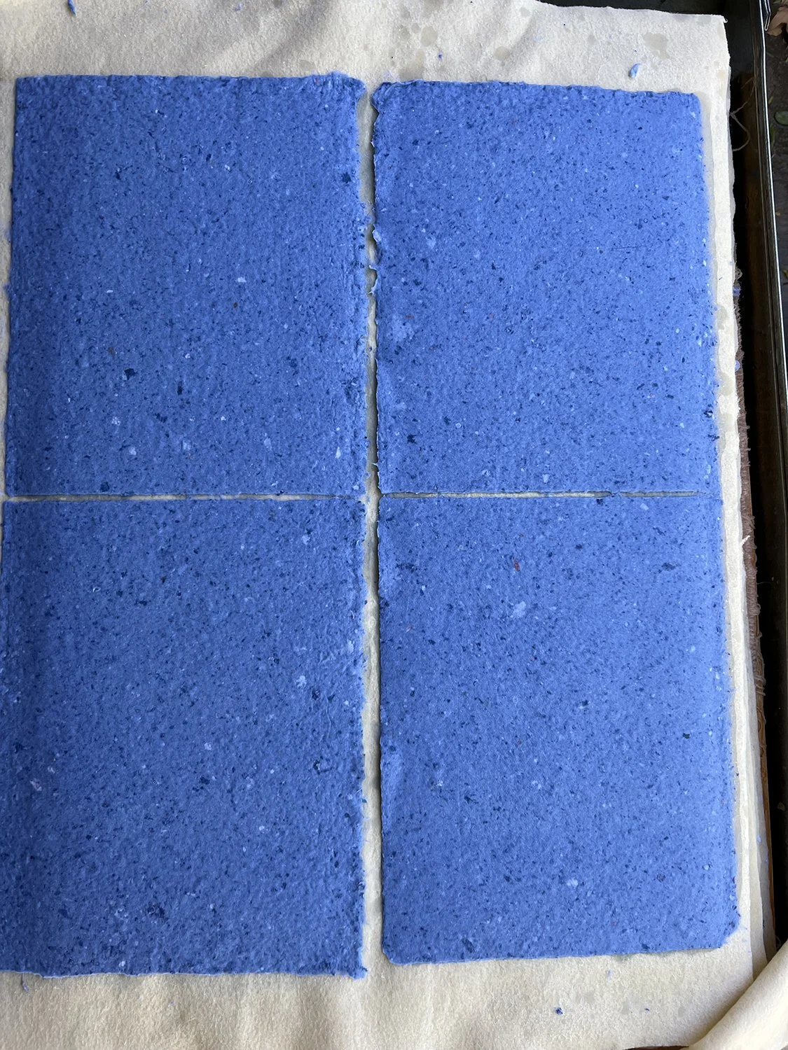 blue for ac again.jpg