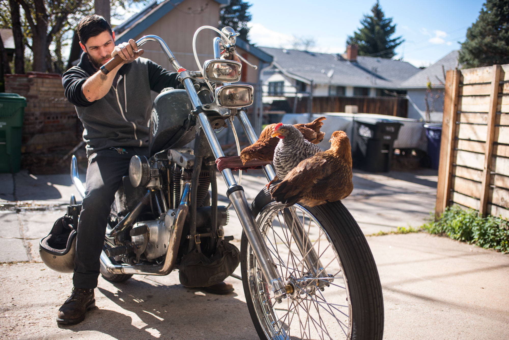 Chicks dig motorcycles Jay. Denver, Colorado