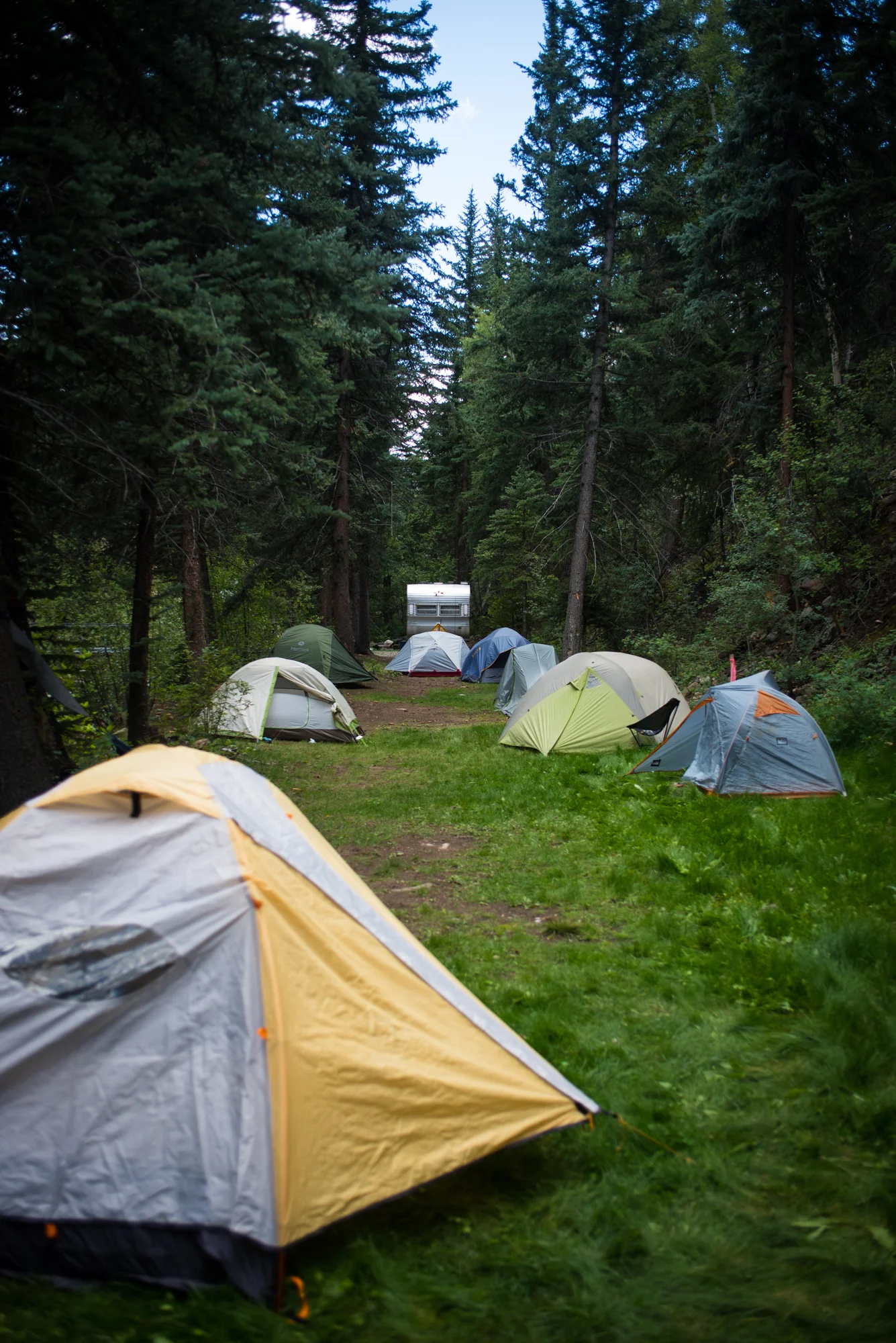 DSC_4731.jpg
