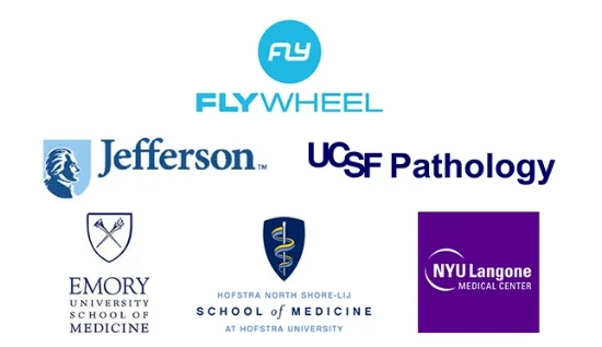 2015 honored mentor_sponsors.jpg