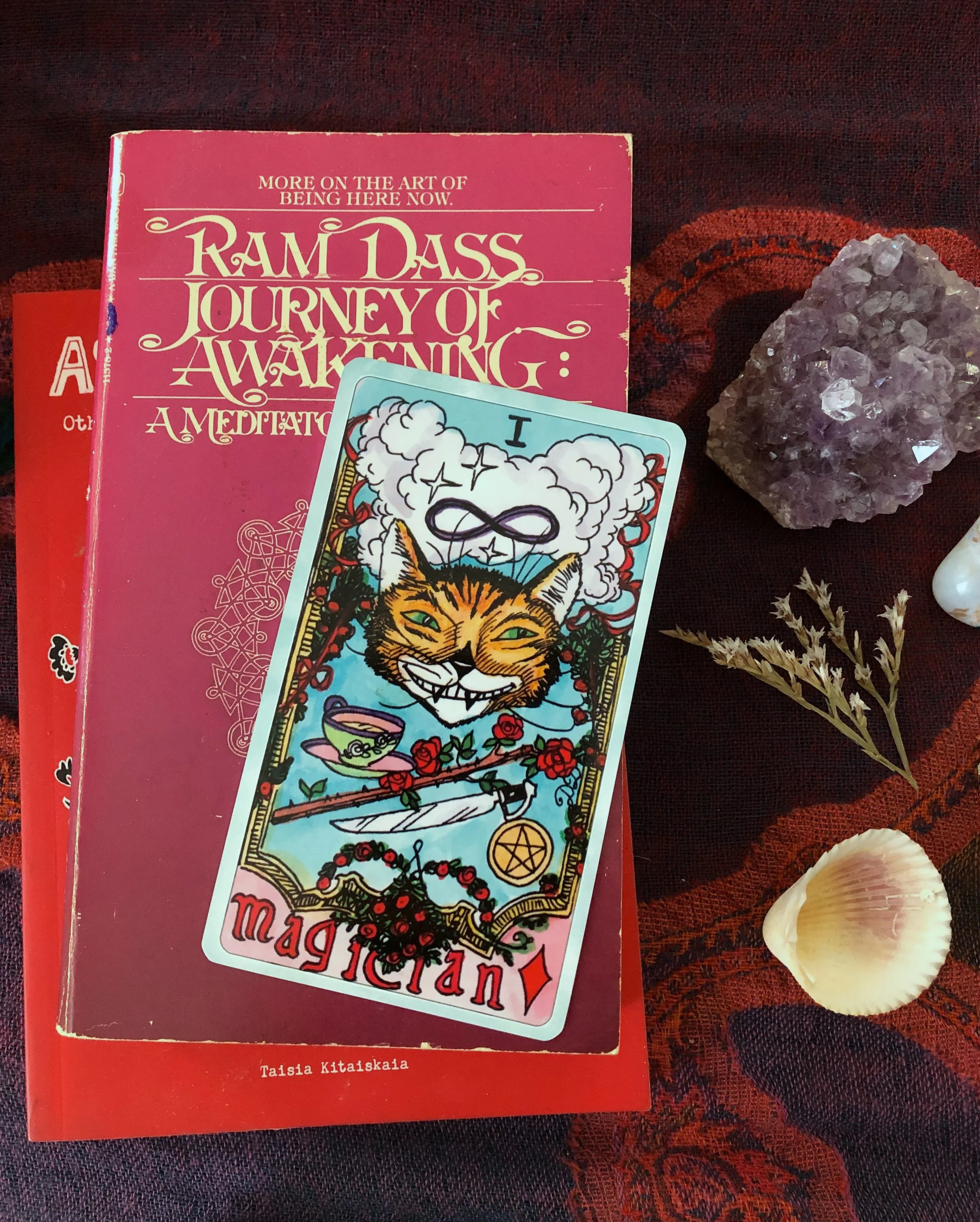 from Dame Darcy’s Queen Alice Tarot