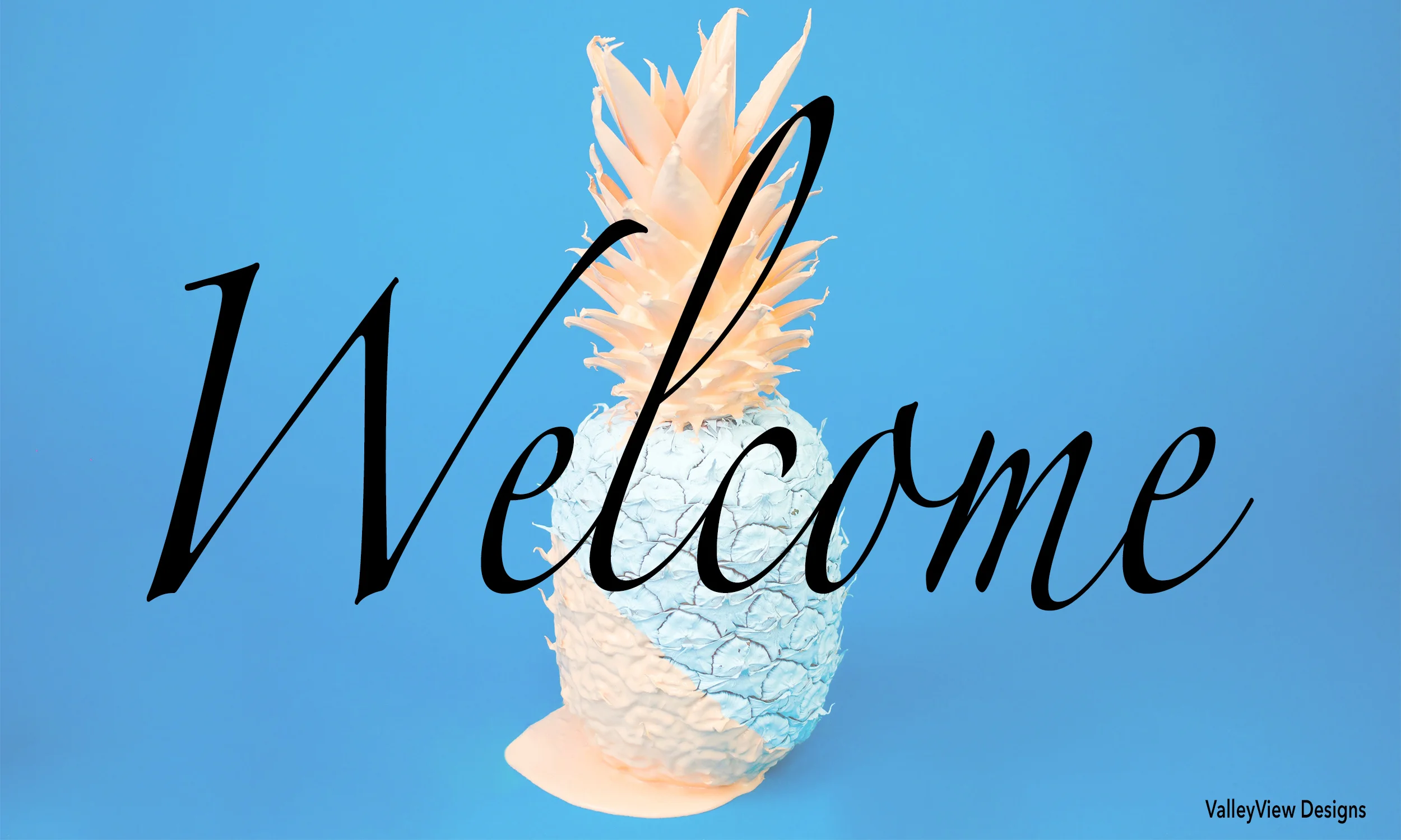 Welcome Banner for Website.jpg