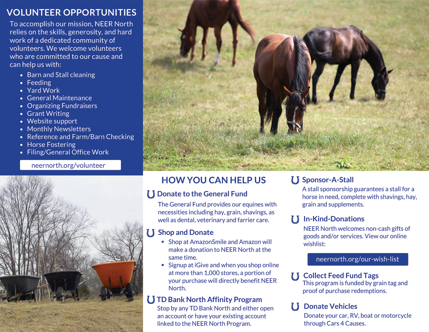 Non Profit Equine Rescue Brochure - Back
