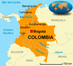 bogota-300x270.png
