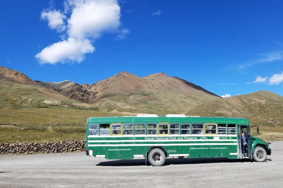 denali national park tour bus