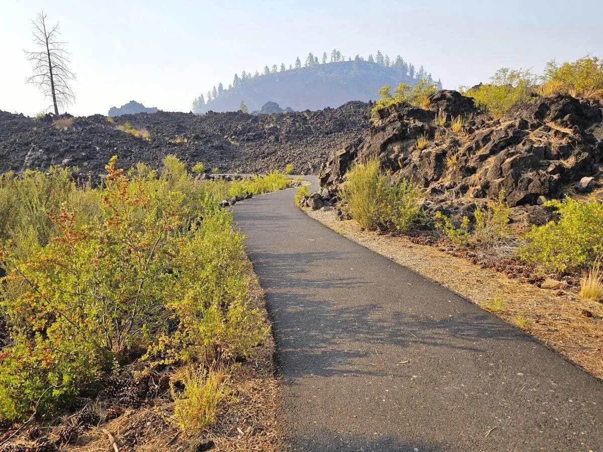 A paved walking path curves through a volcanic landscape with green plants growing between rocks
