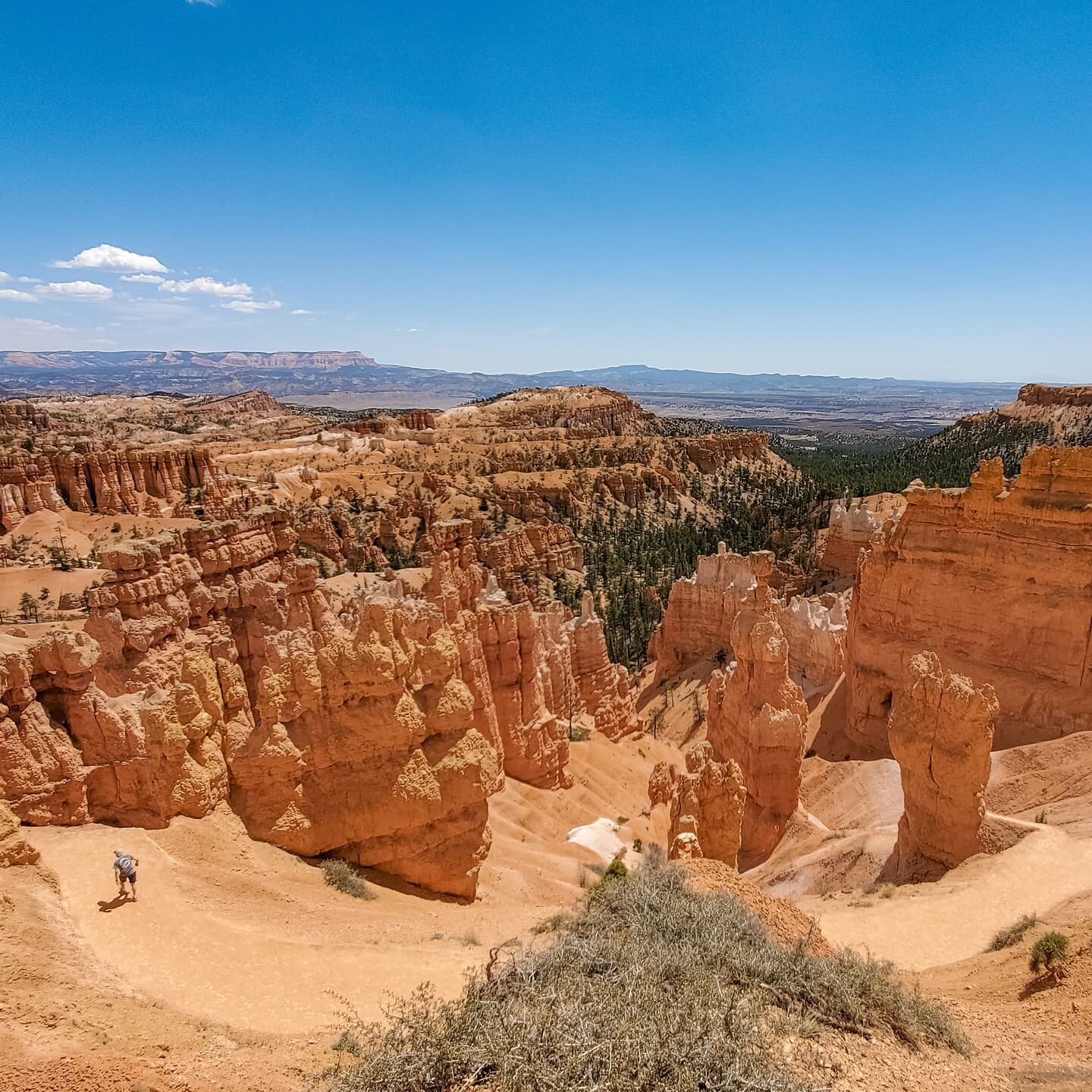 **Save for visiting Bryce Canyon National Park**

Have you been to Bryce Canyon yet? This Utah park is known for its hoodoos, gorgeous sunsets, and fun trails with tunnels. It's also a lot cooler than the other Utah national parks, so you can comfort