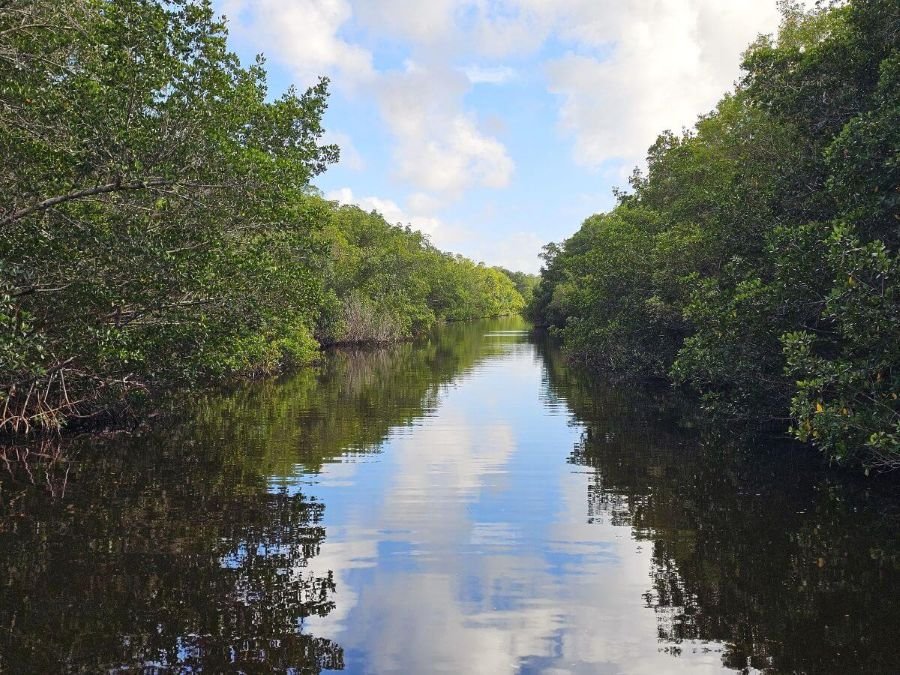 A canal waterway surrounded by trees in Everglades National Park