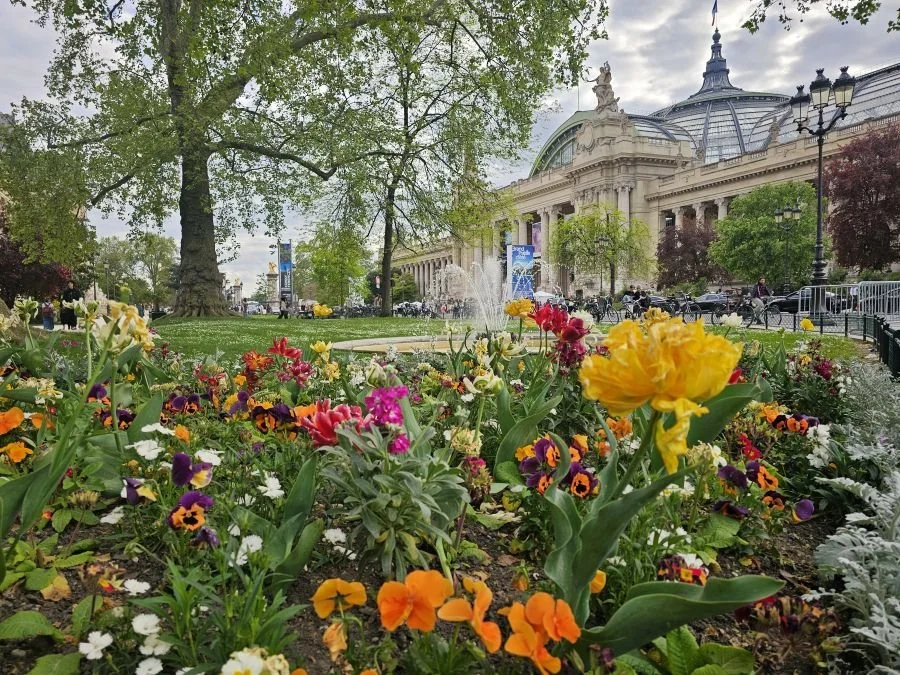 Colorful flowers in a garden in front of a museum building in Paris
