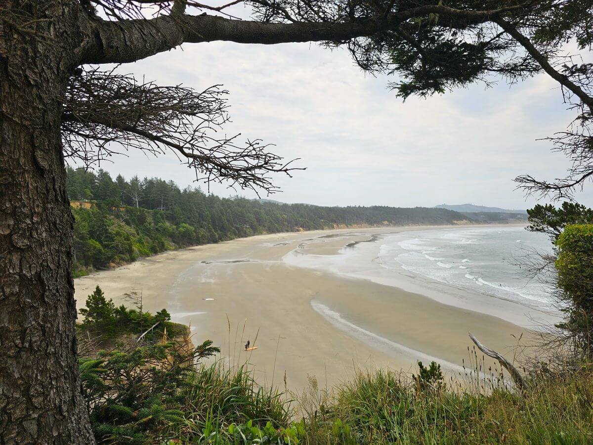 A sandy beach on the coast of Oregon.