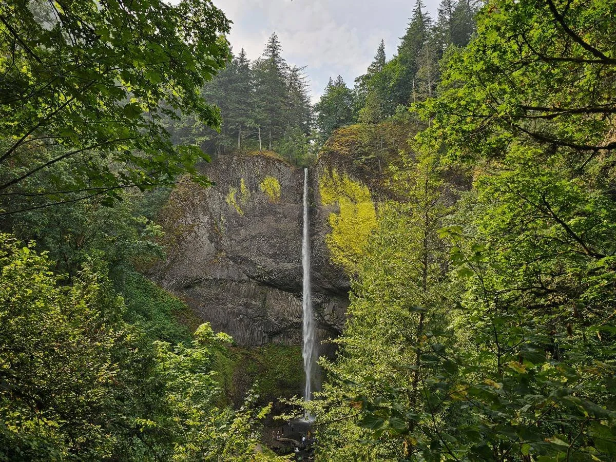 A tall and thin waterfall drops down a cliff in the Columbia River Gorge in Oregon