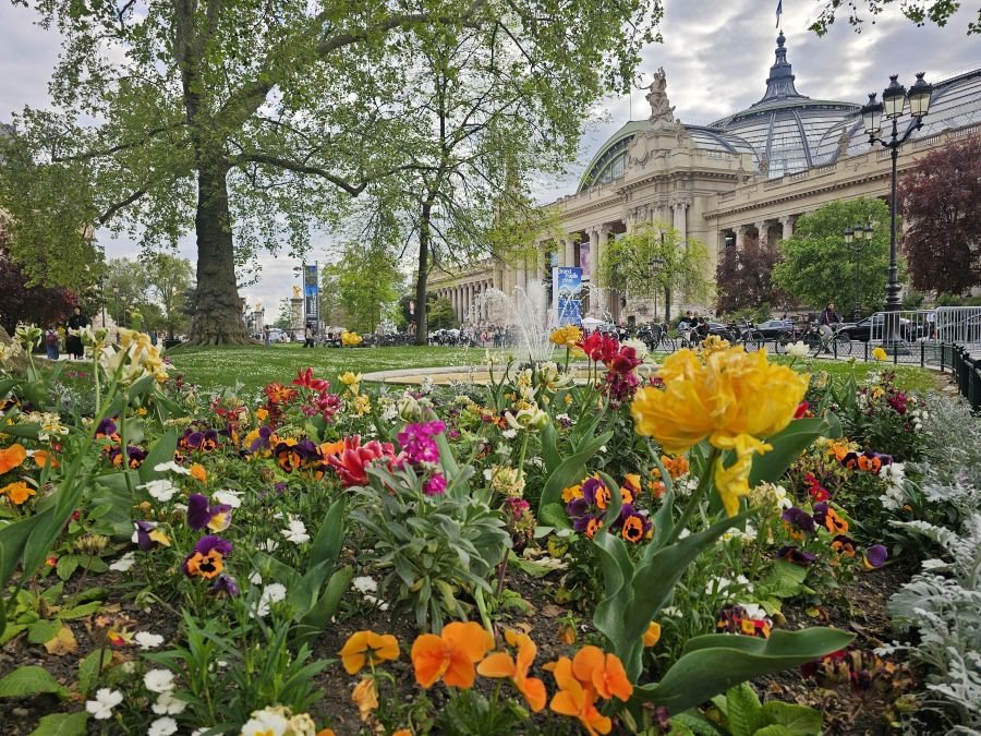 Flowers bloom in front of a Paris museum