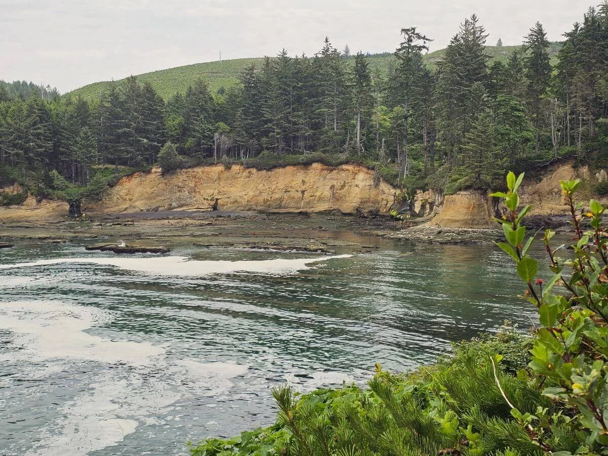 The Oregon coast with low cliffs above a dark sand beach with seals resting