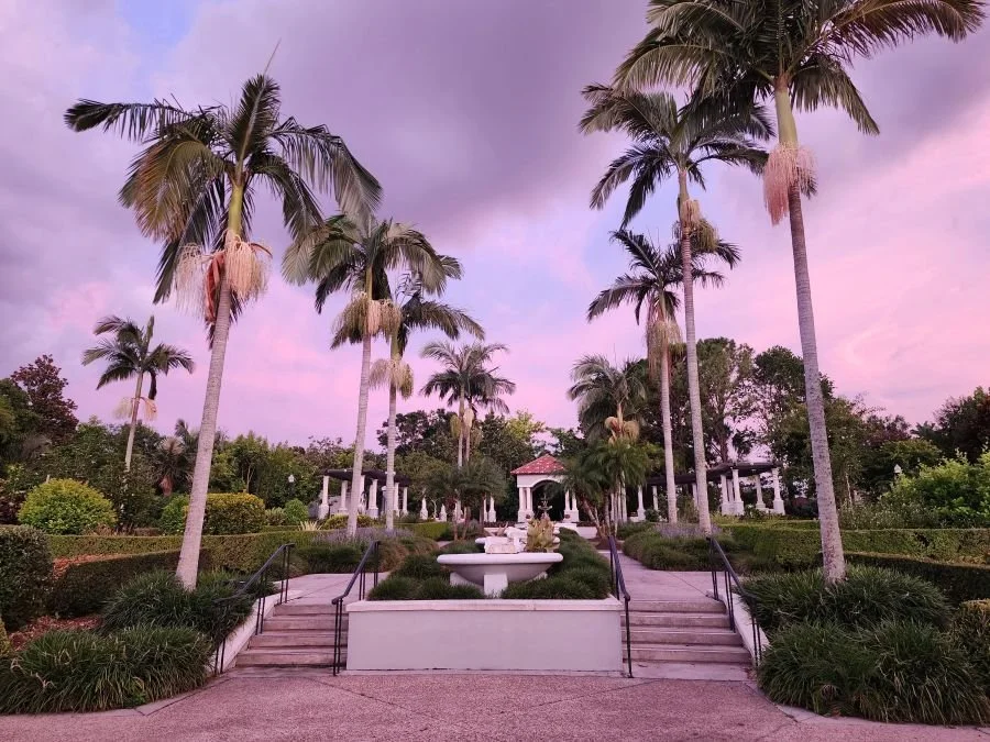 Sunset sky over a garden with palm trees in Lakeland Florida.