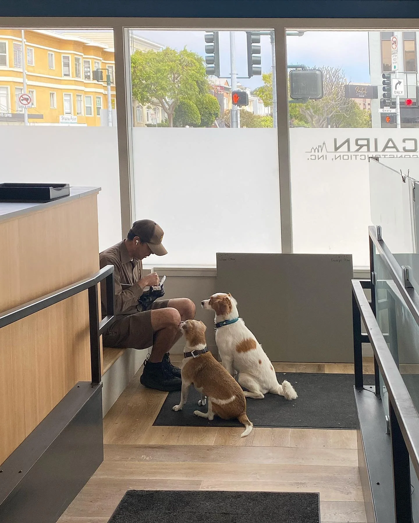 Not a question who our favorite delivery person is at the Cairn office 🐾