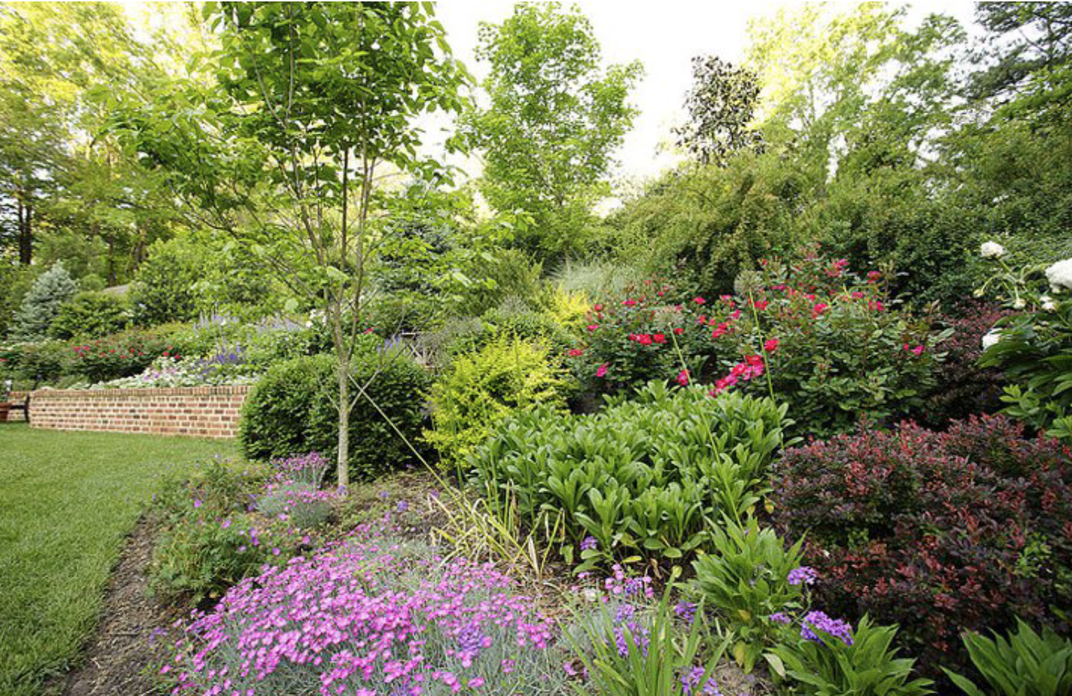 Marcia Fryer Landscape Designs | Child Friendly Backyard | Perrenials.png