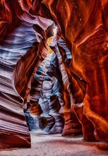 Arizona Yoni