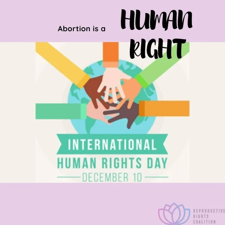 International Human Rights Day