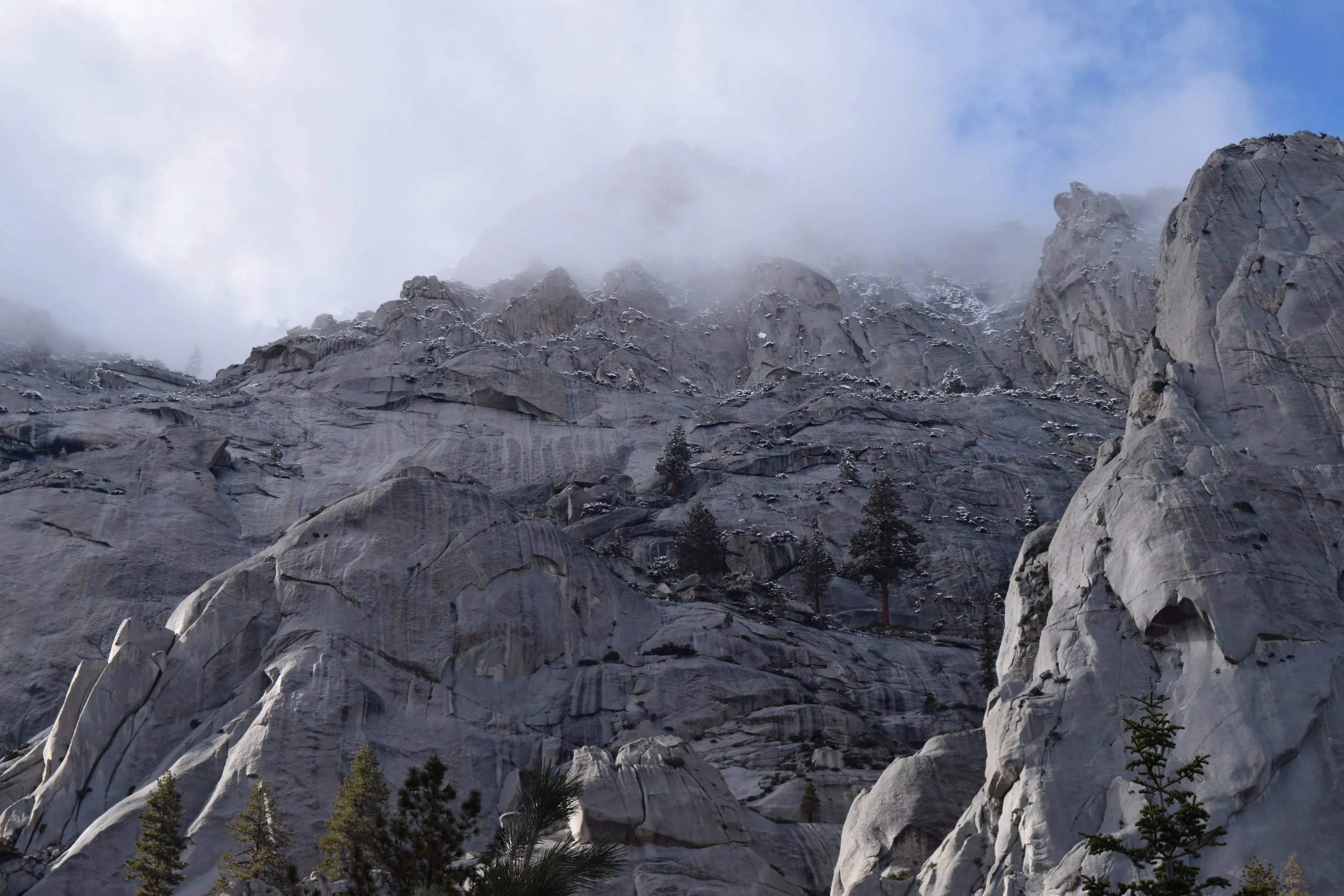 DSC_0232.jpg