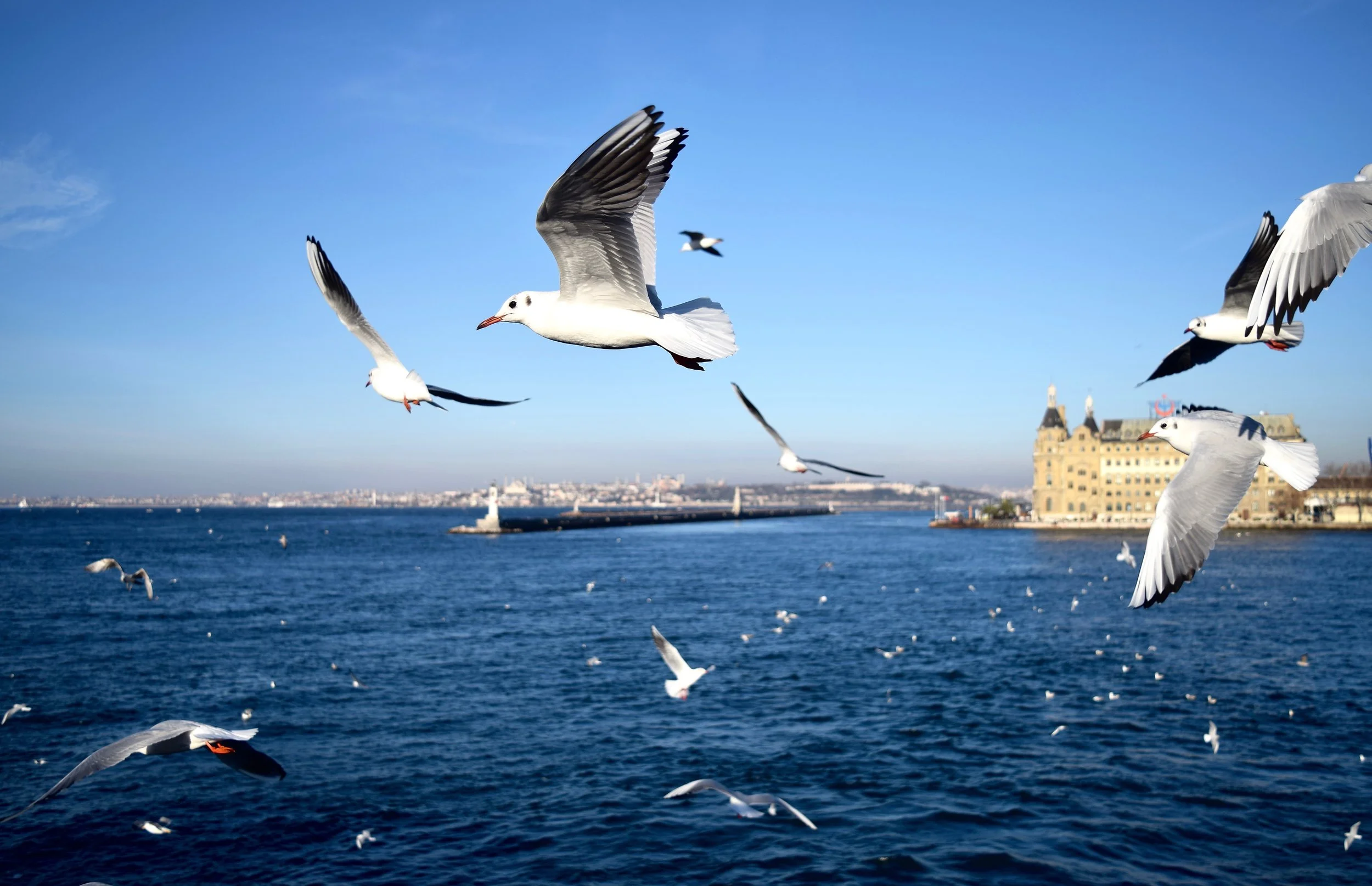 DSC_0005.jpg
