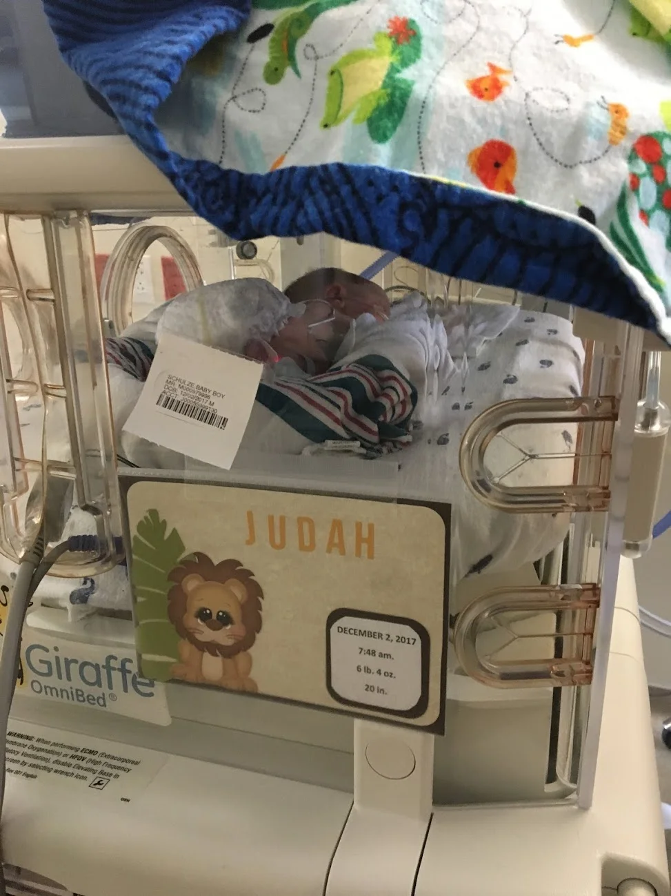 HOW JUDAH GOT HIS NAME — BLAKE SCHULZE