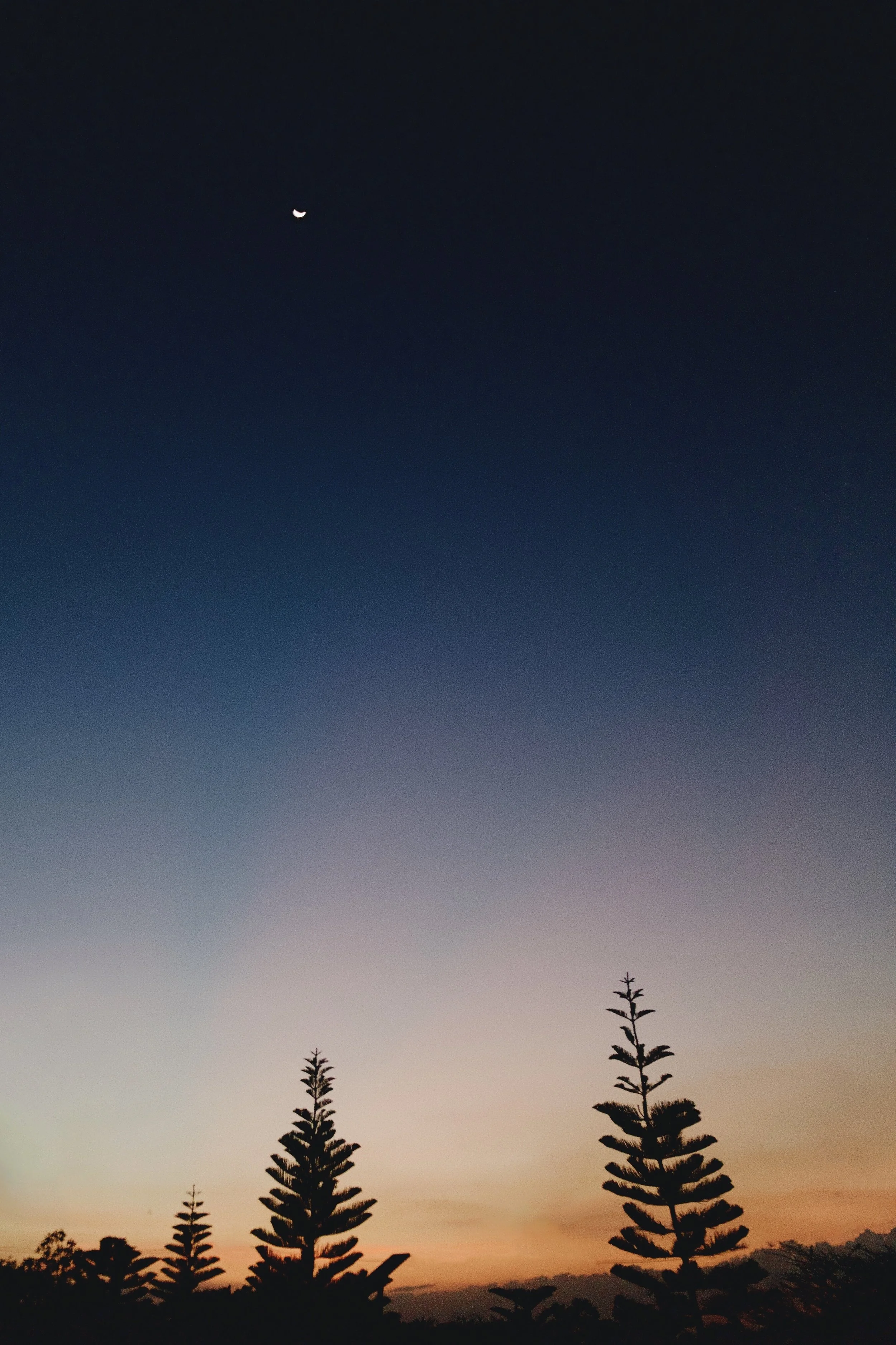 IMG_3653.jpeg