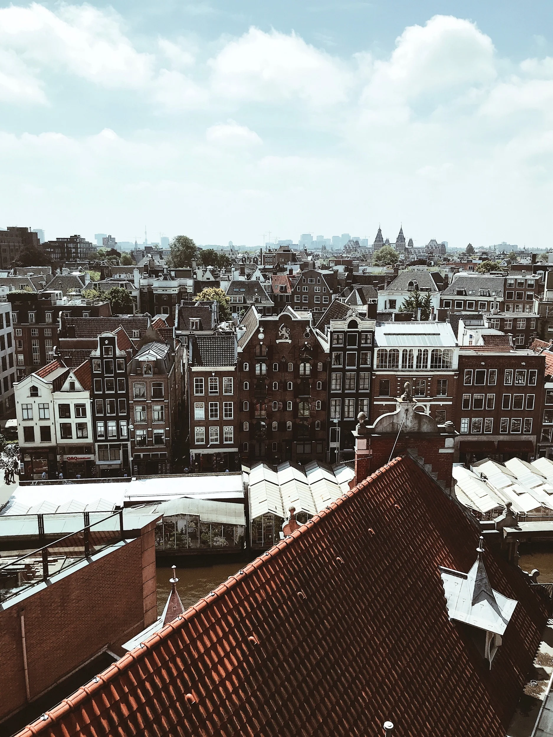 FDC37D0B-8FE8-498B-9149-7D82B7178716.jpeg