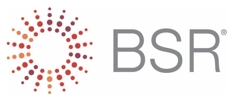 BSR (Business for Social Responsibility) is a global nonprofit business network and consultancy dedicated to sustainability. 