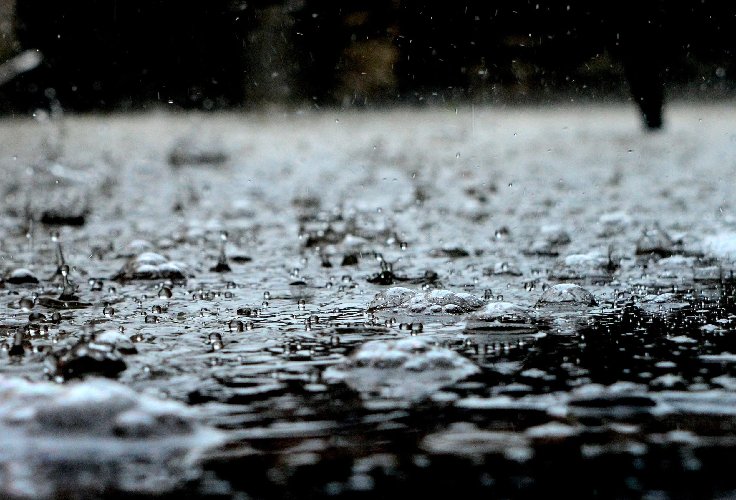Heavy Rain: The Water Cycle and Climate Change