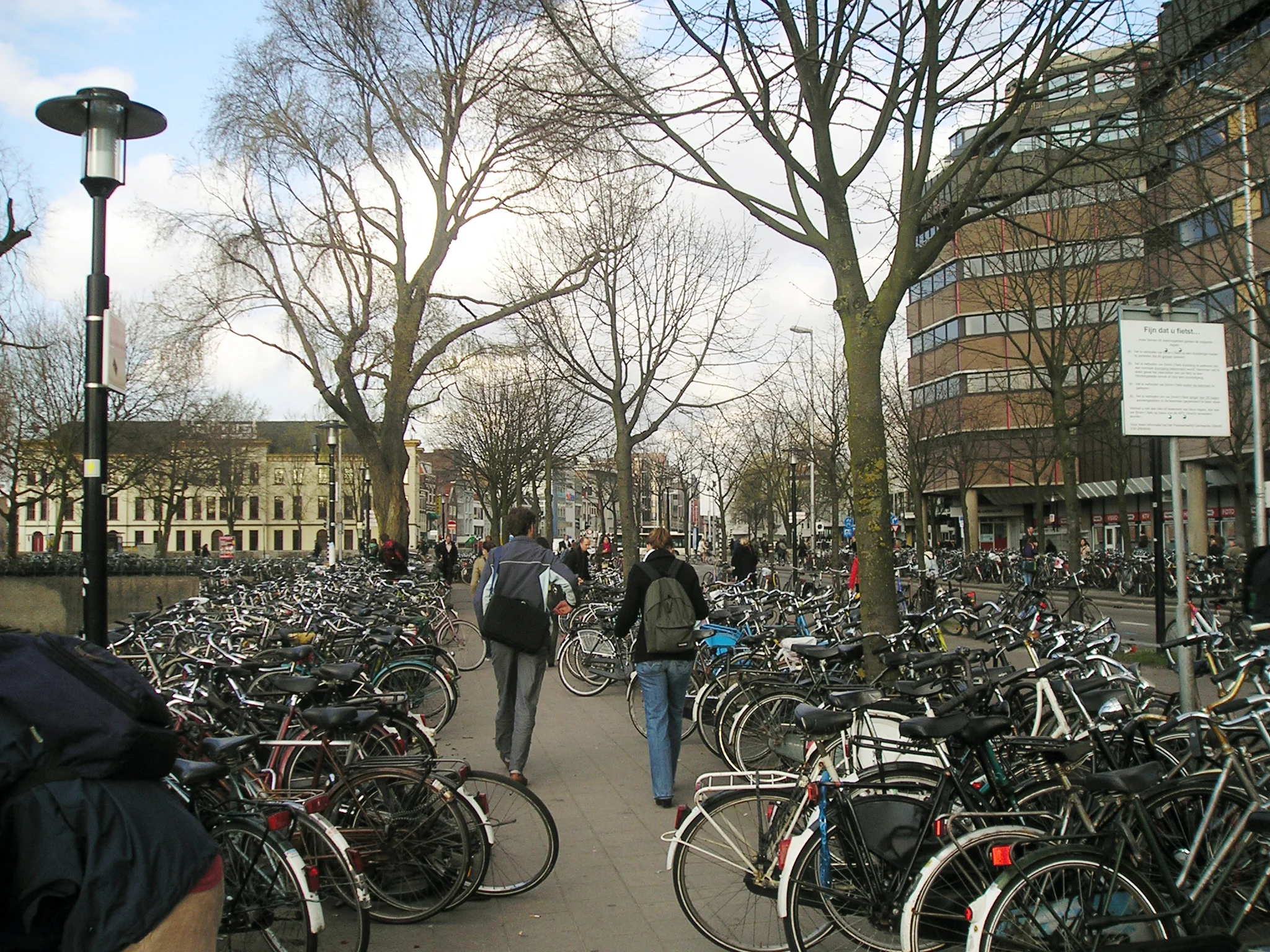 Bikes in Utrecht, Netherlands (source)