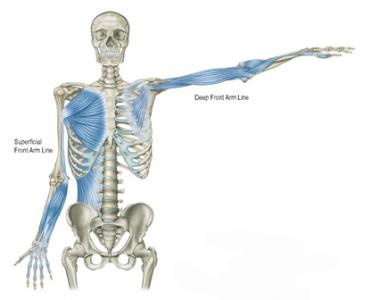 Fascial Lines: An Intention to Connect, Session 2 — The Growing Room
