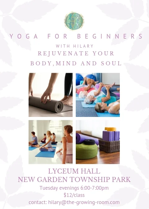 NGT Flyer-Beginners.jpg