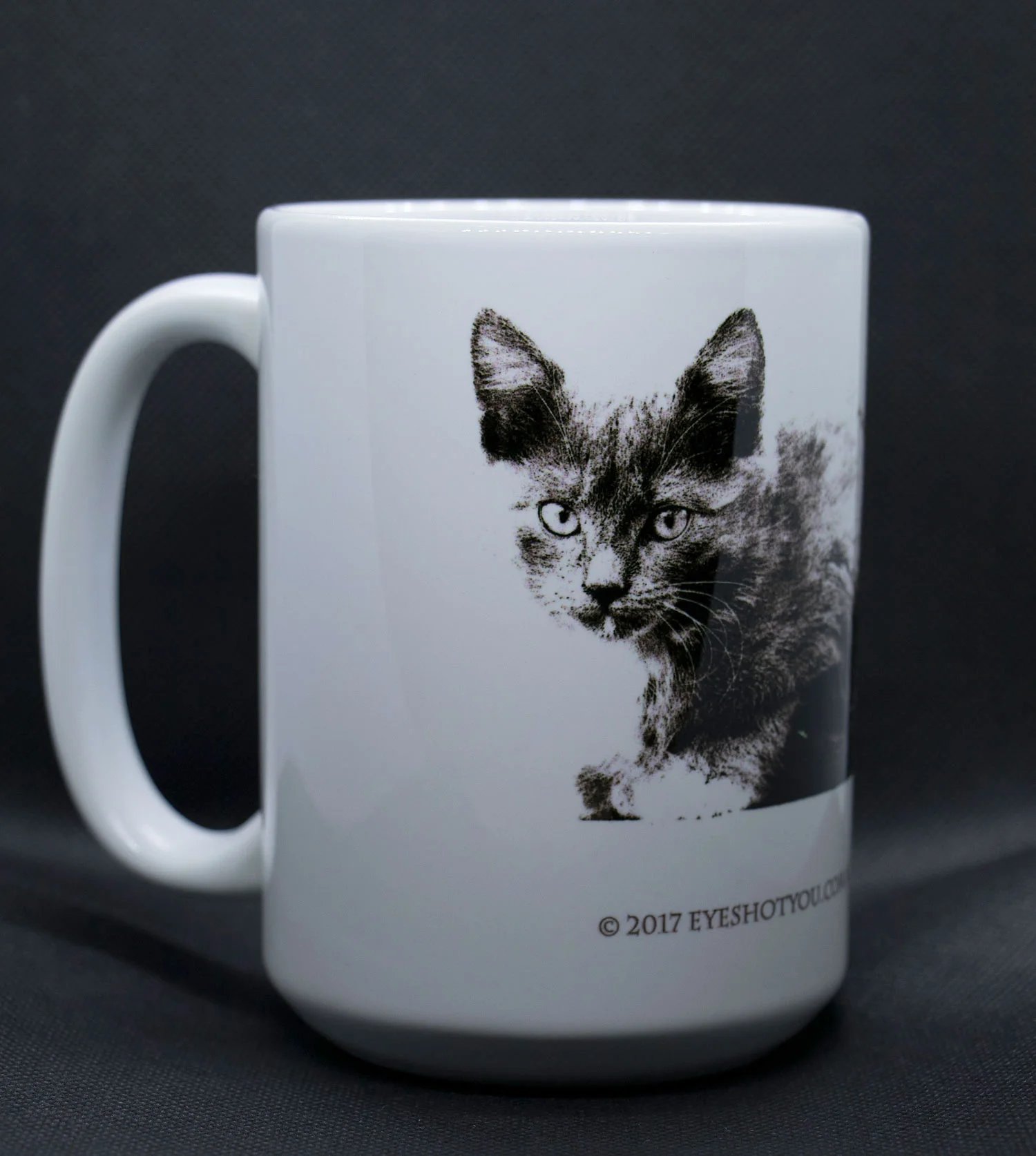 kitten-1-mug-3.jpg