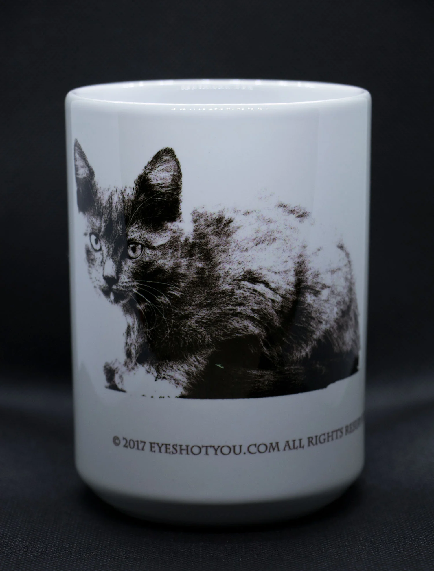 kitten-1-mug.jpg