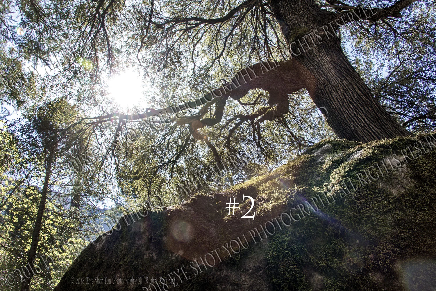 ysmte_003-c.jpg