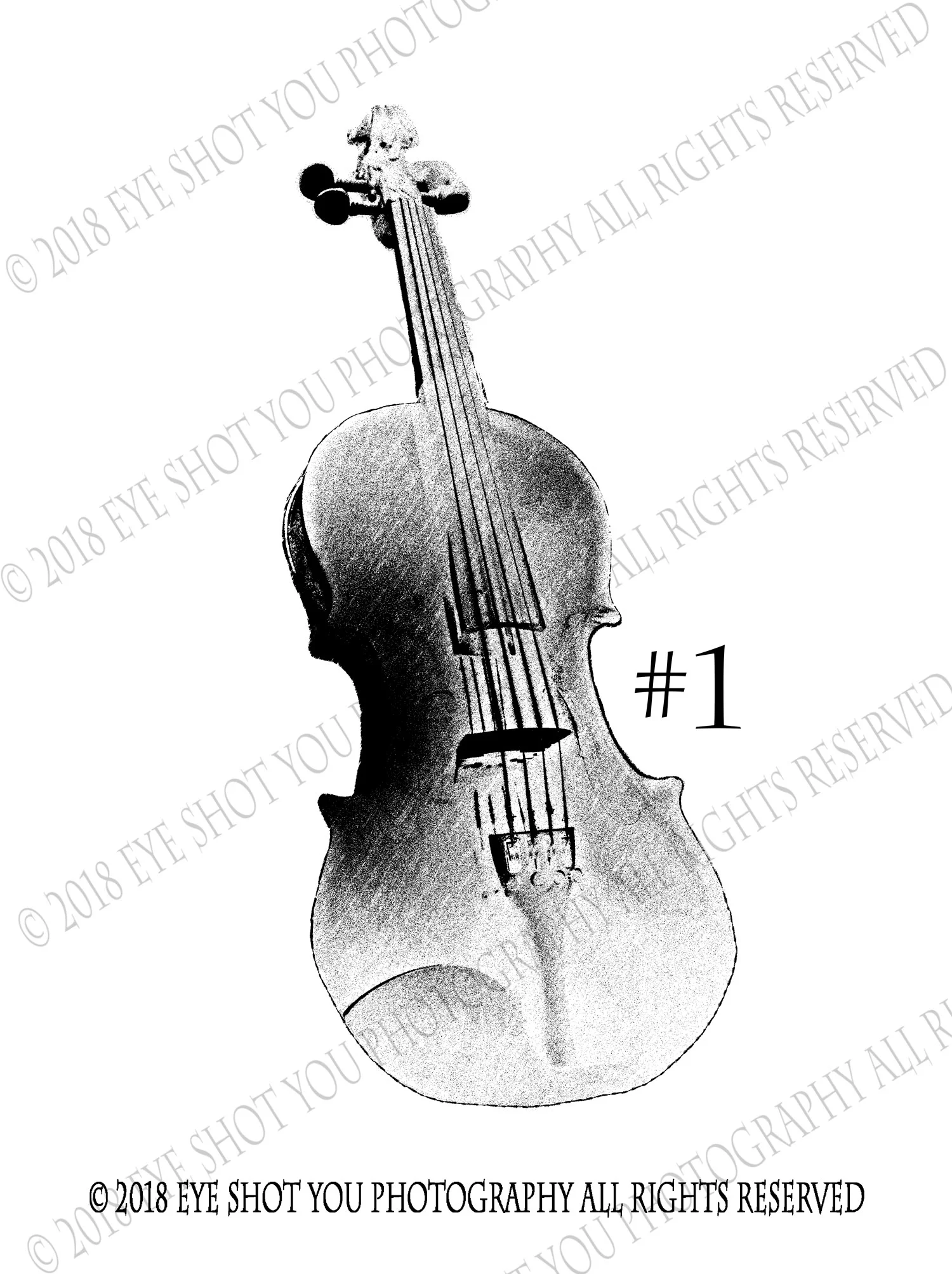 violin-000-c.jpg
