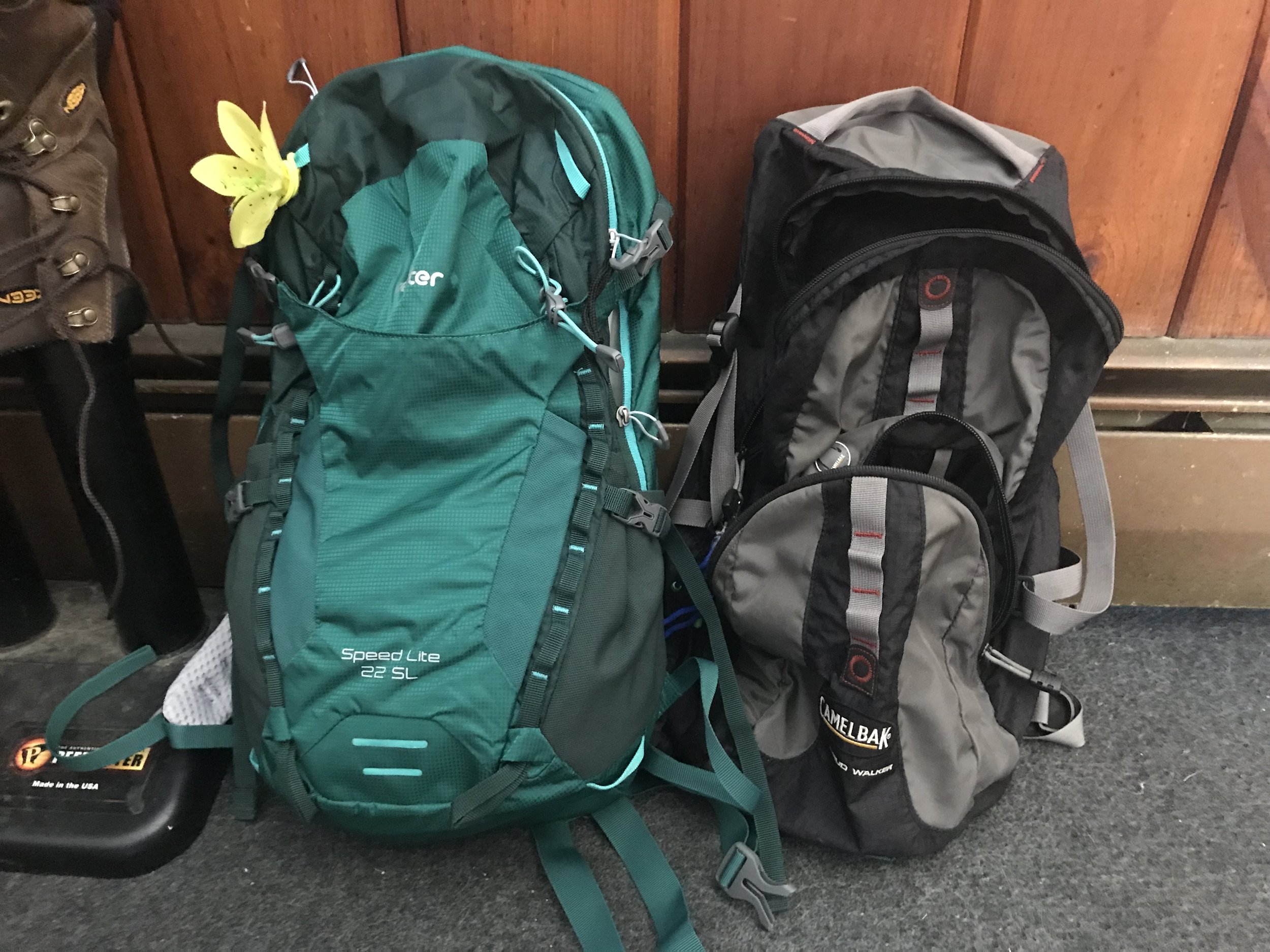 Out with Pack and in with the New Pack — Getting Lost Together