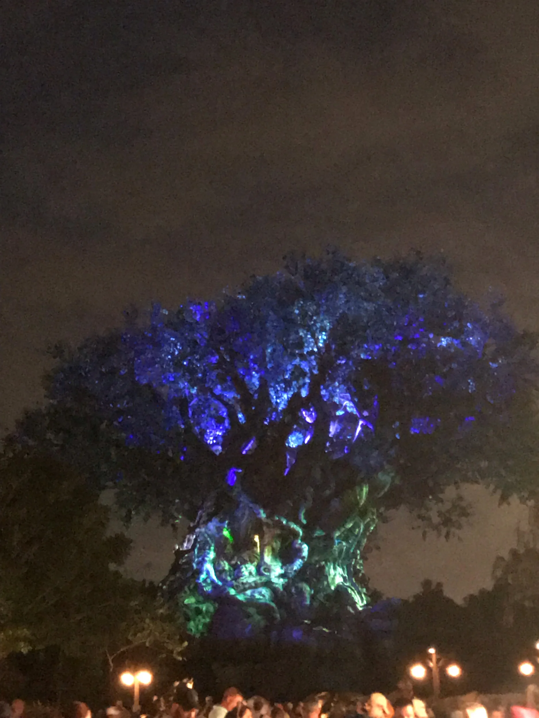 Tree of life at night in Animal Kingdom.