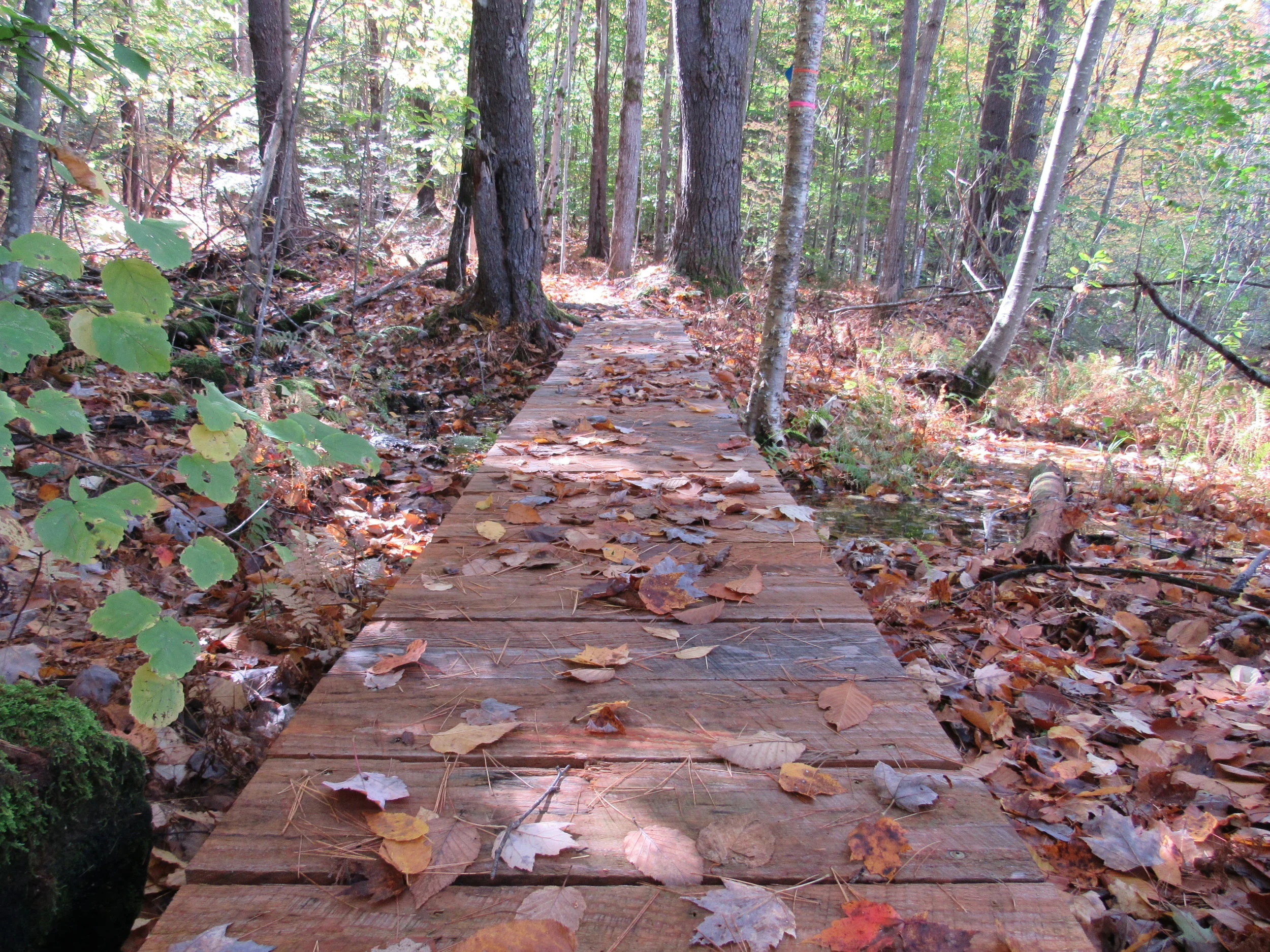 Fall Hikes in the Monadnock Region 